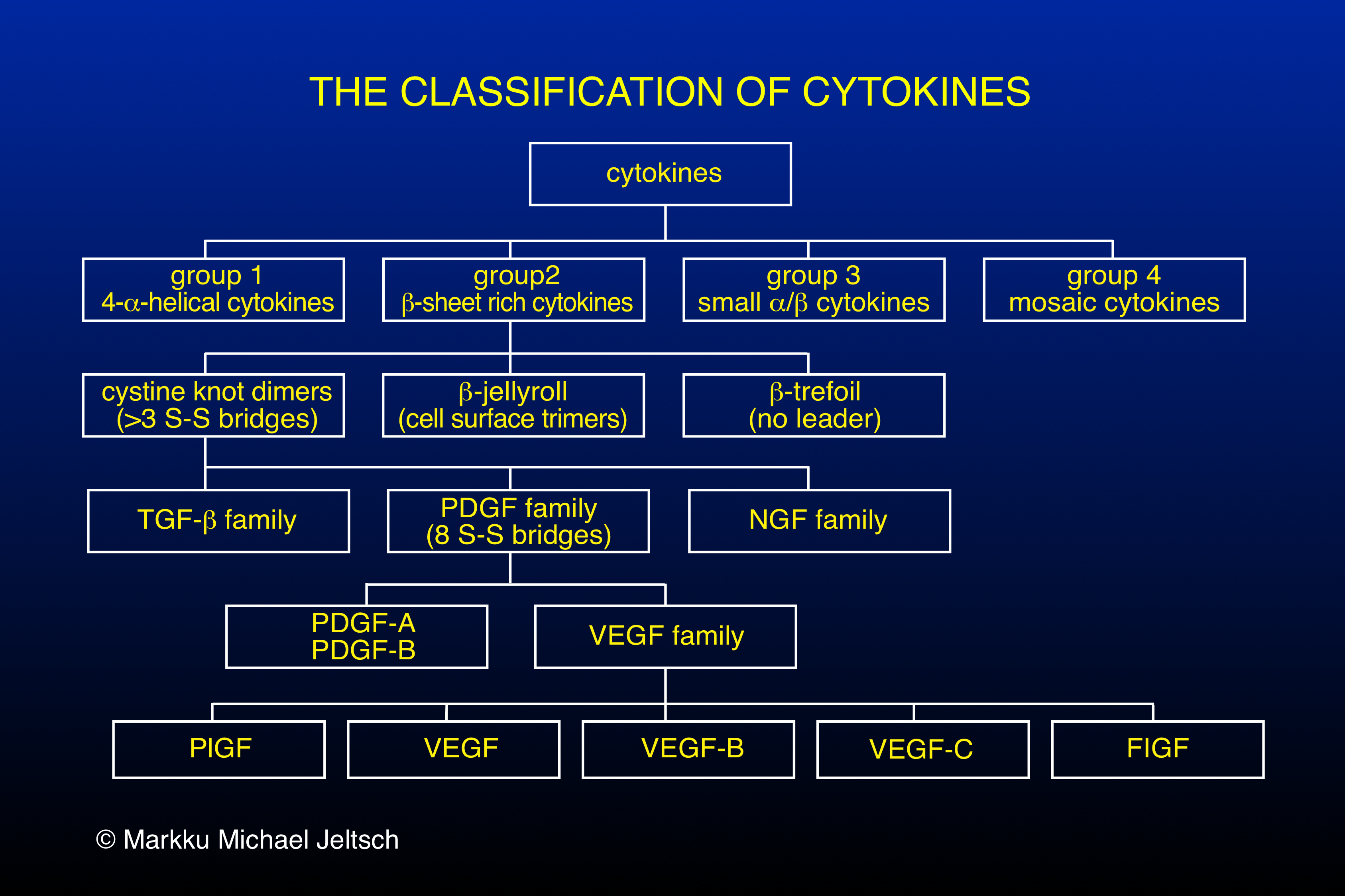 classification of cytokines