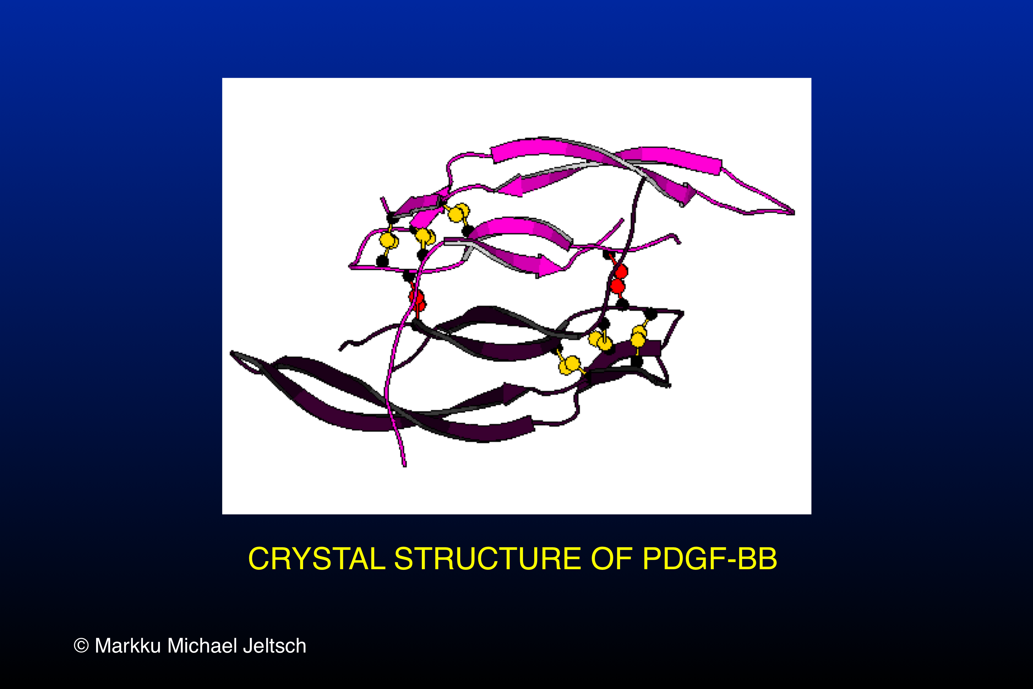 crystal structure of PDGF-BB