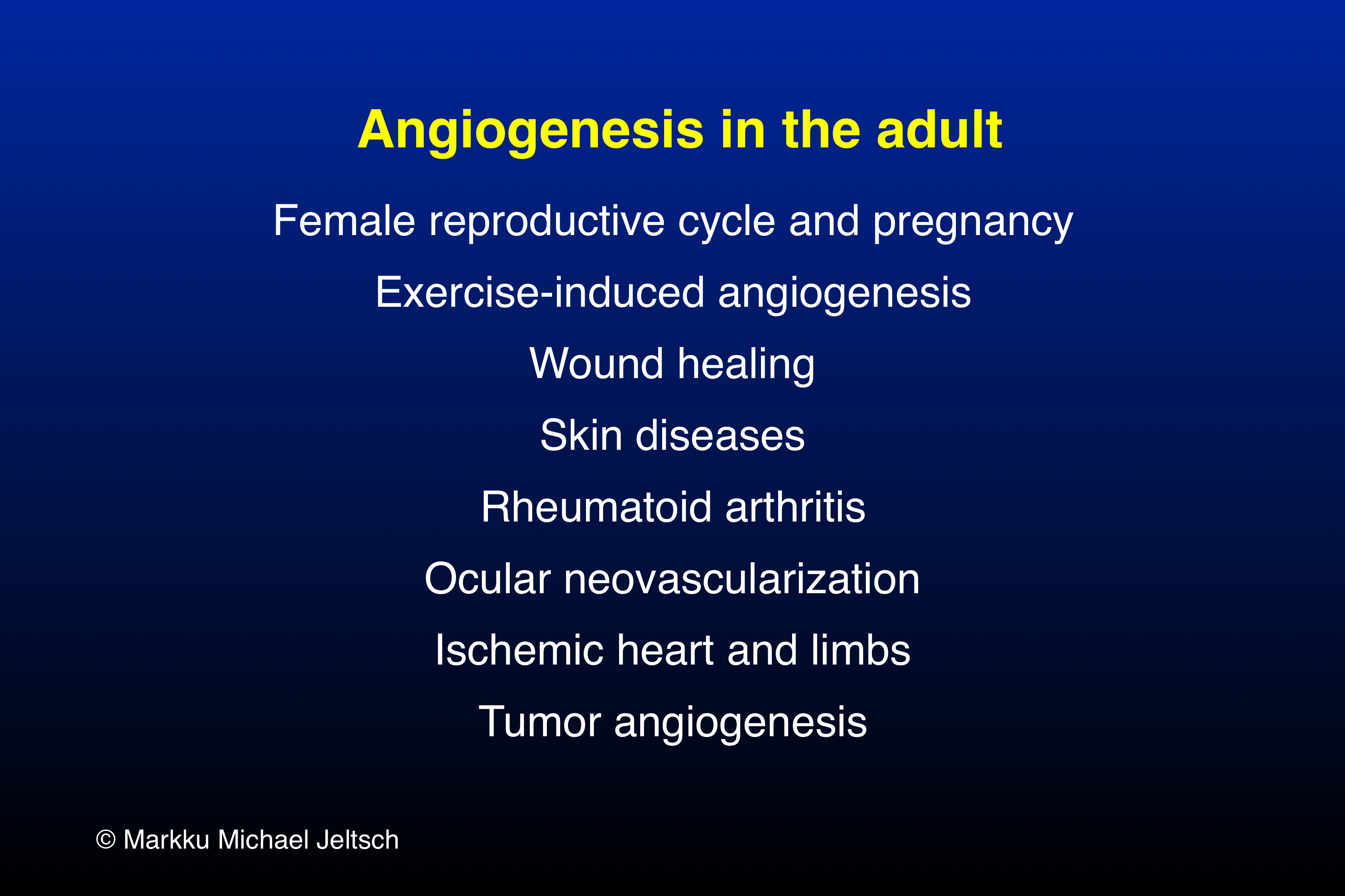 angiogenesis in the adult organism