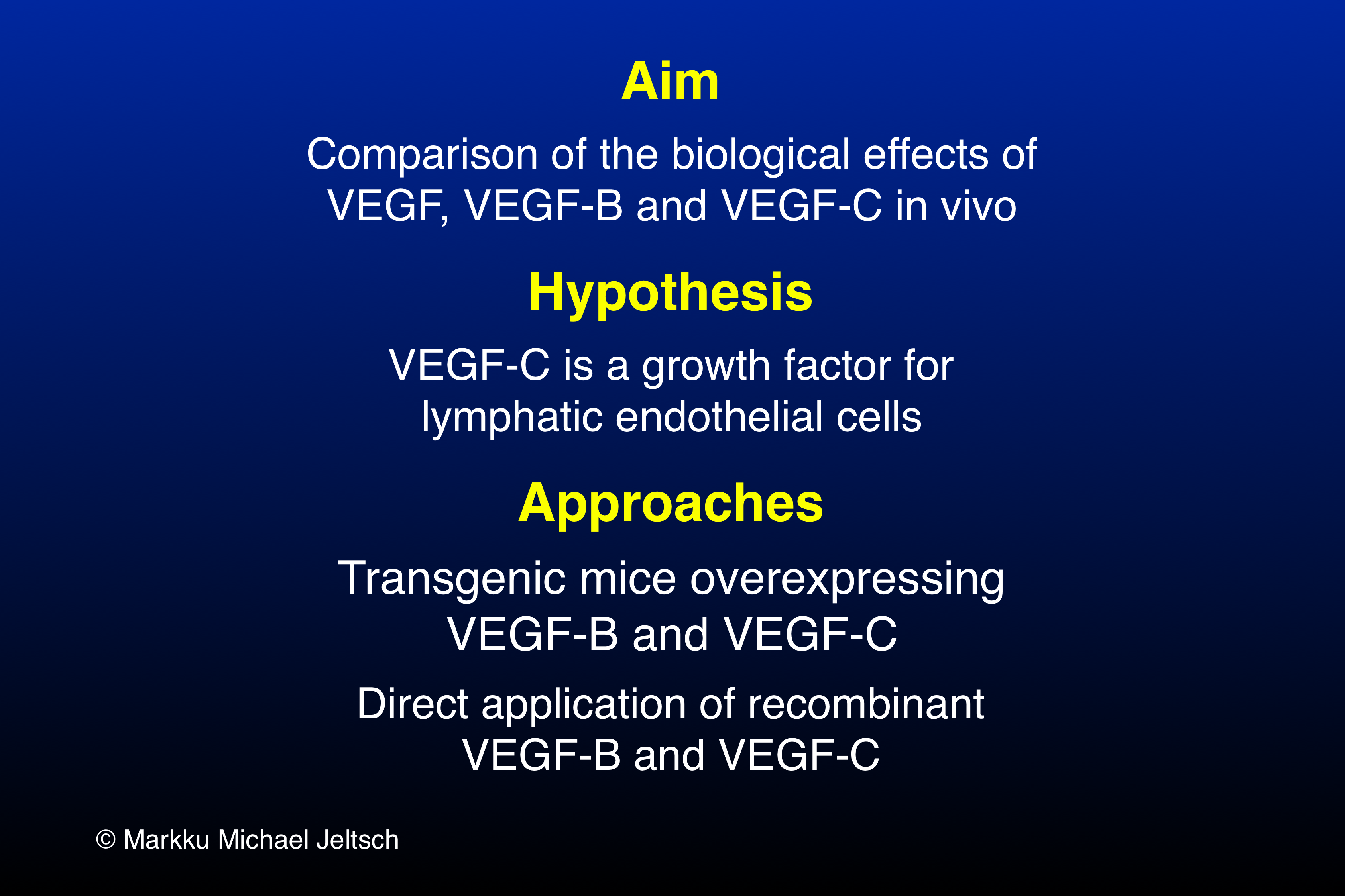 aim, hypothesis & approaches