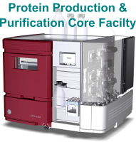 Biomedical Protein Production and Purification core facility (P3B) at Biomedicum Helsinki