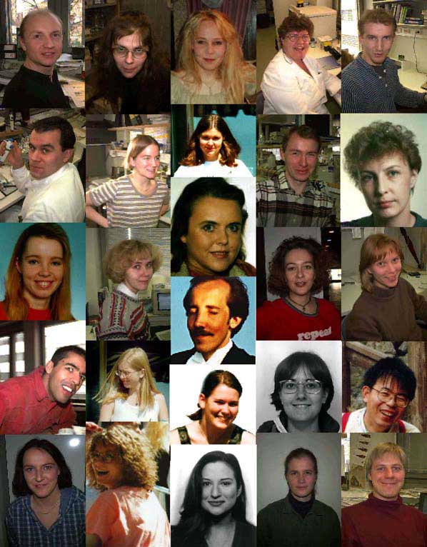 Molecular/Cancer Biology Laboratory group photo 1998