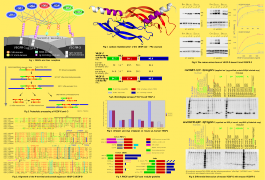 Figures from Poster for Vanajanlinna Meetig 2011