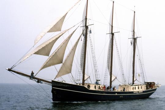 Segeltörn auf dem IJsselmeer