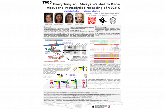 IVBM 2018 poster T005 (Michael Jeltsch)