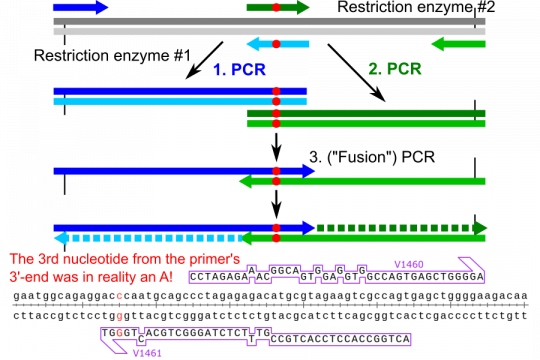 Impossible overlap extension PCR