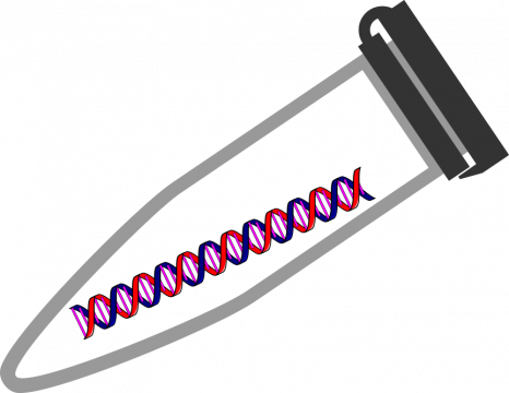 PCR tube