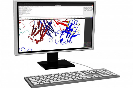 Molecular modelling