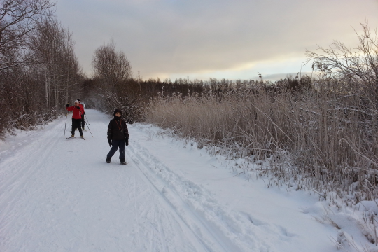 Skilanglauf auf der Loipe in der Nähe von Vanhakaupunki