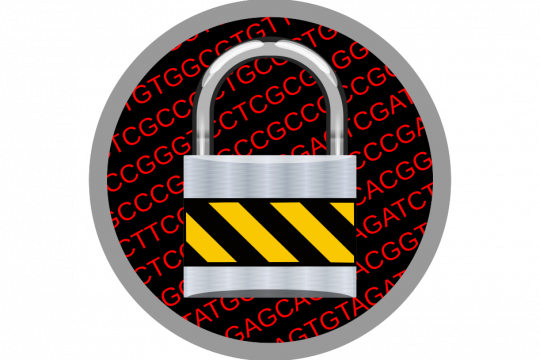 A padlock in front of a DNA sequence