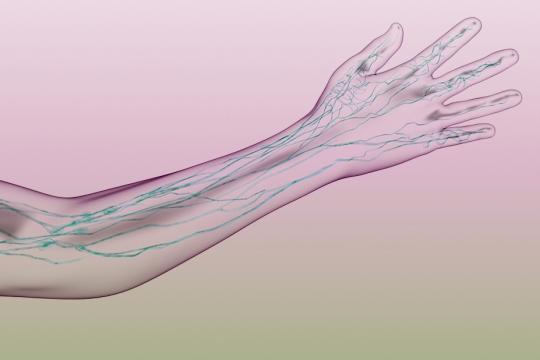 Lymphatics in the arm