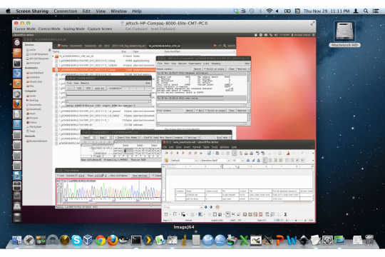 x11vnc screenshot
