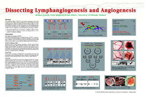 August 12-17, 2001 (Gordon Research Conference Angiogenesis and Microcirculation