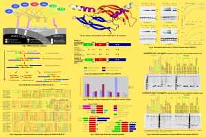 Figures from Poster for Vanajanlinna Meetig 2011