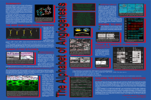 1998 (Poster for the Viikki Science Fair): The Alphabet of Angiogenesis