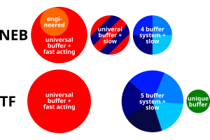 Comparing ThermoFisher's and NEB's restriction enzyme portfolios