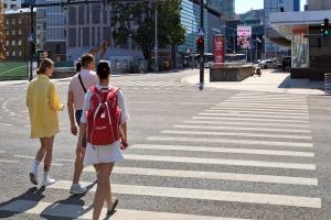 Gonsiori Str - Laikmaa Str crossing 2025