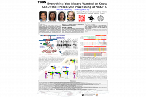 IVBM 2018 poster T005 (Michael Jeltsch)