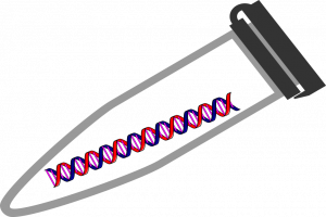 PCR tube