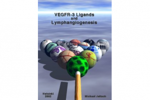 Cover of Michael Jeltsch's PhD thesis book