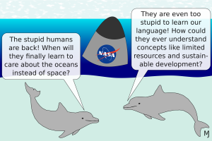 Dolphins discussing human stupidity