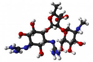 Streptomycin model