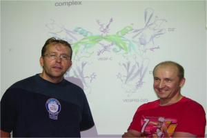 Veli-Matti Leppänen and Michael Jeltsch in front on VEGF-C/VEGFR-2 structure
